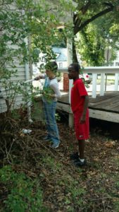 boys doing yardwork