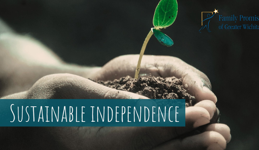 Sustainable Independence: You Choose From Here