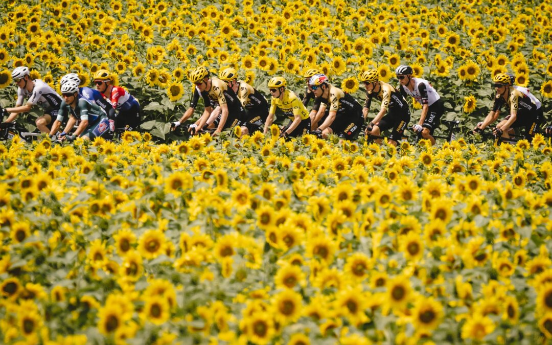 Lessons from the Tour de France: #1 – Teamwork